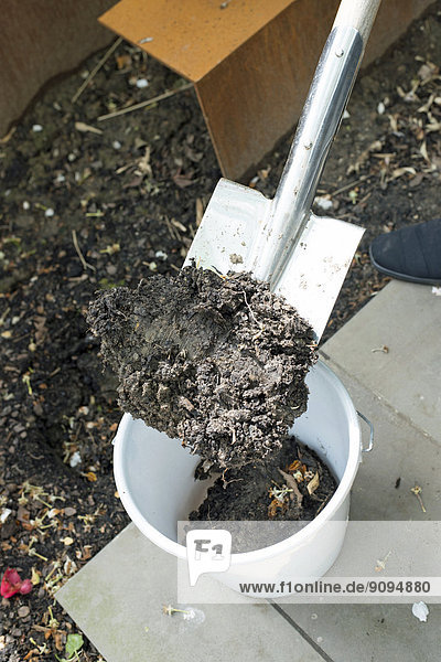 Woman filling soil with spade into bucket