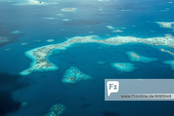 Ozeanien  Palau  Pazifischer Ozean  Korallenriff