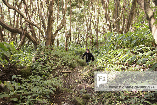 Portugal  Azoren  Sao Miguel  Mann beim Wandern im Wald