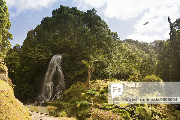Portugal  Azoren  Sao Miguel  Wasserfall im Parque Natural da Ribeira dos Caleiroes