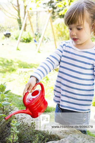Kleines Mädchen gießt Kräuter im Garten