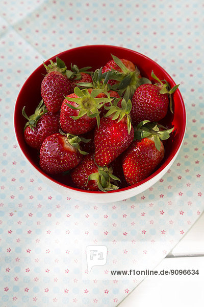 Schale mit Erdbeeren auf Stoff  erhöhte Ansicht