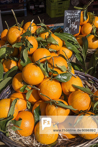 Orangen am Marktstand  Cours de Selaya  Nizza Frankreich