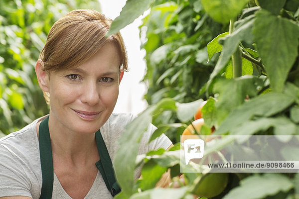 Porträt einer lächelnden Frau neben Tomatenpflanzen im Gewächshaus