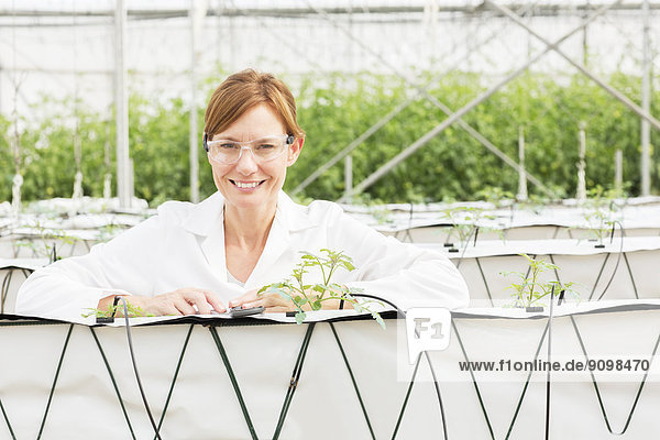 Porträt eines lächelnden Wissenschaftlers mit Pflanzen im Gewächshaus