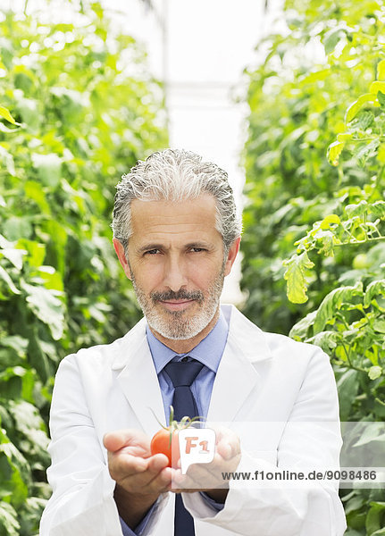 Portrait des Botanikers mit reifer Tomate im Gewächshaus