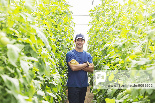 Porträt eines selbstbewussten Arbeiters unter den Tomatenpflanzen im Gewächshaus