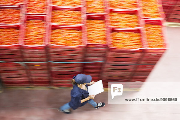 Arbeiter mit Klemmbrett  der an Tomatenkisten in der Lebensmittelverarbeitungsanlage vorbeigeht.