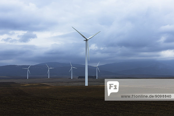 Windpark im Tal  Andalusien  Spanien