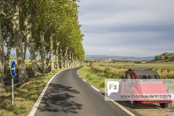 Landstraße mit Platanen und einem roten Citroën 2CV  Poilhes  Region Languedoc-Roussillon  Frankreich