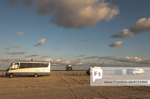 Campingbusse auf Strandparkplatz im Morgenlicht  Sankt Peter-Ording  Eiderstedt  Nordfriesland  Schleswig-Holstein  Deutschland