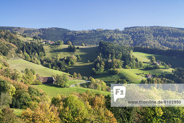 Herbstlandschaft bei Sankt Ulrich  Schauinsland  Schwarzwald  Baden-Württemberg  Deutschland