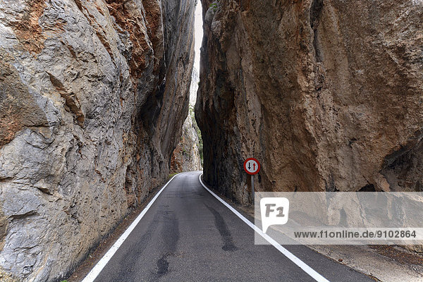 Enge Felsschlucht auf der Bergstraße nach Sa Calobra,  Serra de Tramuntana,  Mallorca,  Balearen,  Spanien