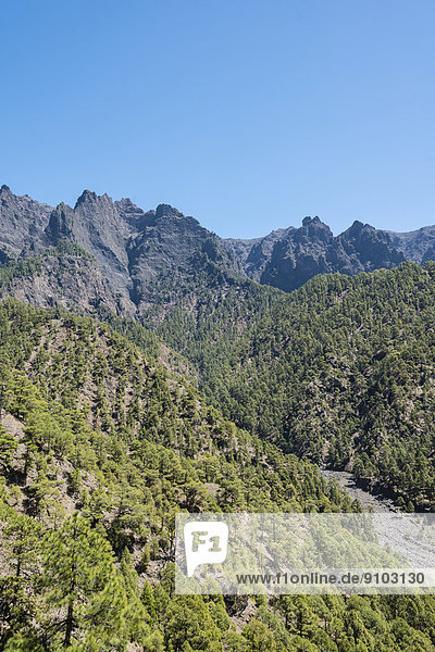 Landscape in the Caldera de Taburiente National Park  La Palma  Canary Islands  Spain