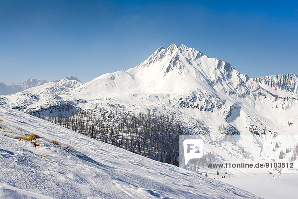 Mondscheinspitze oder Montscheinspitze im Winter  Karwendelgebirge  Tirol  Österreich