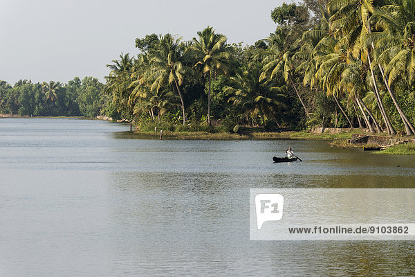 Typische Landschaft mit Palmen  Kerala Backwaters  Alappuzha  Kerala  Indien