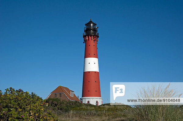 Hörnum Lighthouse  Hörnum  Sylt  North Frisia  Schleswig-Holstein  Germany