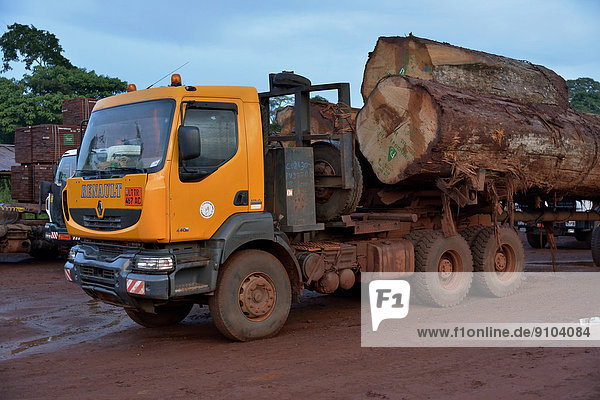 Tropical timber  logs on a truck near Gouméla  South-West Region  Cameroon