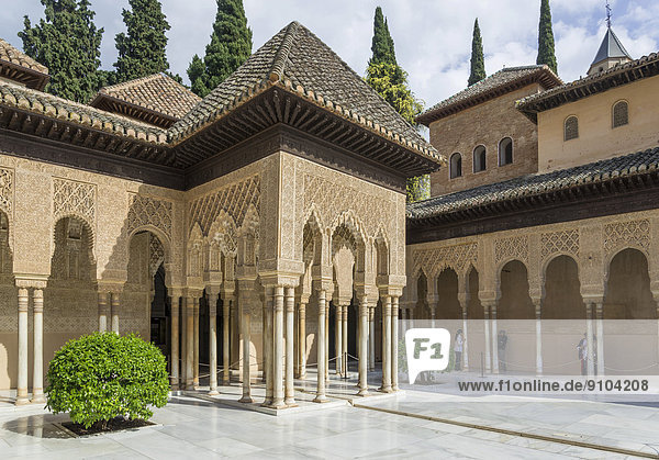 Palacio Nazaríes  Nasrid Palaces  Court of the Lions  Granada  Andalusia  Spain