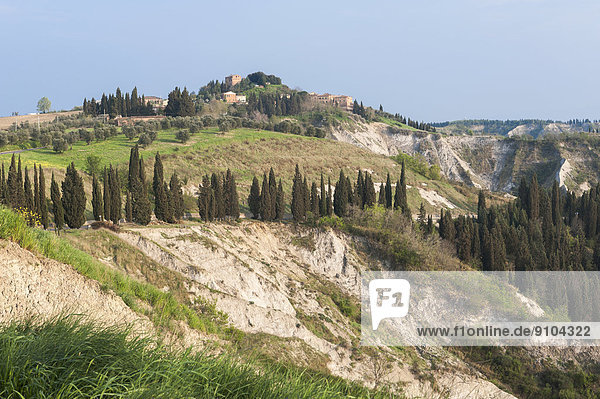 Erosionslandschaft der Crete Senesi  hinten die Ortschaft Chiusure  Asciano  Toskana  Italien