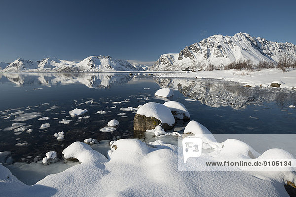 Winterlicher Fjord mit Bergen  Vågan  Lofoten  Norwegen