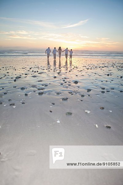 Familie läuft bei Sonnenuntergang Richtung Meer  Kapstadt  Südafrika