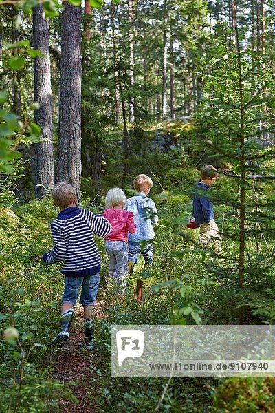Vier kleine Kinder  die im Wald umherwandern
