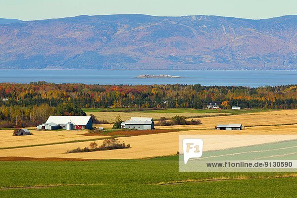 Bauernhof Hof Höfe Kanada Quebec