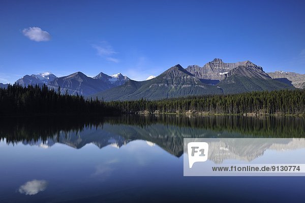 Banff Nationalpark  Alberta  Kanada