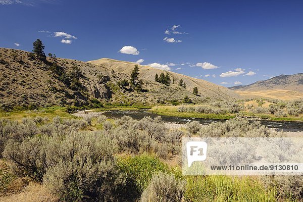 Vereinigte Staaten von Amerika  USA  Yellowstone Nationalpark  Wyoming