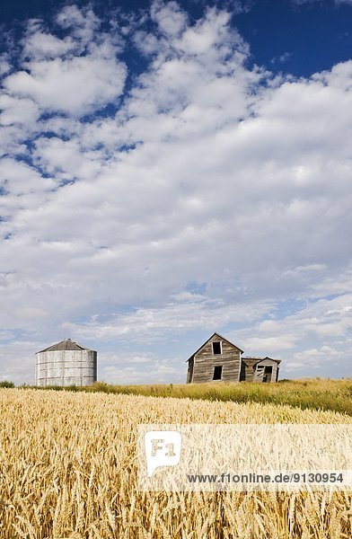 Getreide Wohnhaus Bauernhof Hof Höfe Feld verlassen Weizen Saskatchewan Kanada