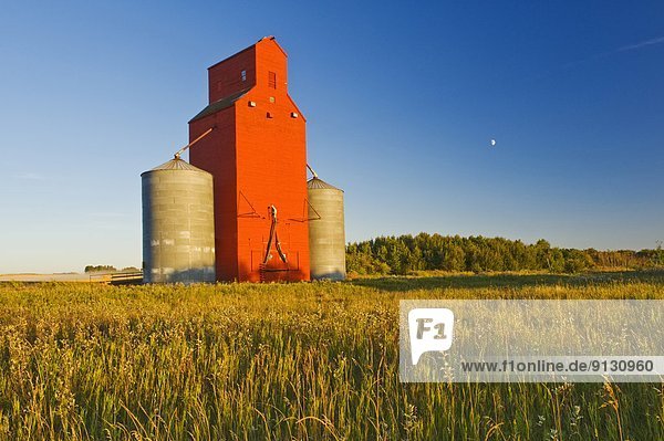 grain elevator  near Dana  Saskatchewan  Canada