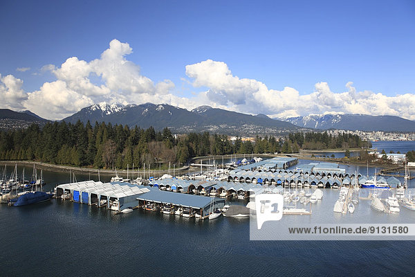 View over Coal Harbor towards Stanley Park  Vancouver  British Columbia