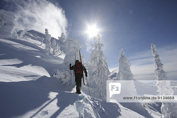 Backcountry Skier  near Whitewater Ski Resort  BC  Canada