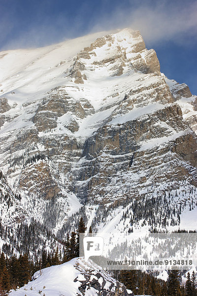 Winter  Band  Bänder  Bach  Ansicht  Berg  Alberta  Kanada