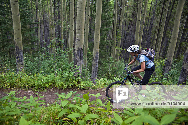A female mountain biker riding the Highline trail in Canmore  AB