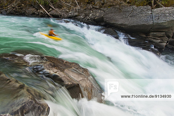 A male kayaker drops into a big rapid on the Fraser River  Mt Robson Provincial Park  BC