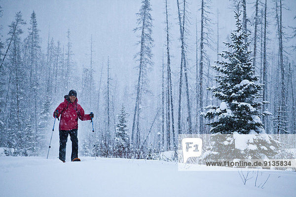 Frau  jung  Kootenay Nationalpark  Schneeschuhlaufen