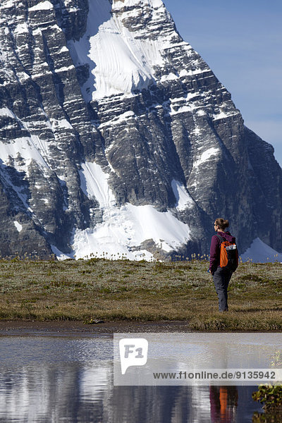 Berg  Spiegelung  wandern  British Columbia  Kanada  Glacier Nationalpark  Tarn