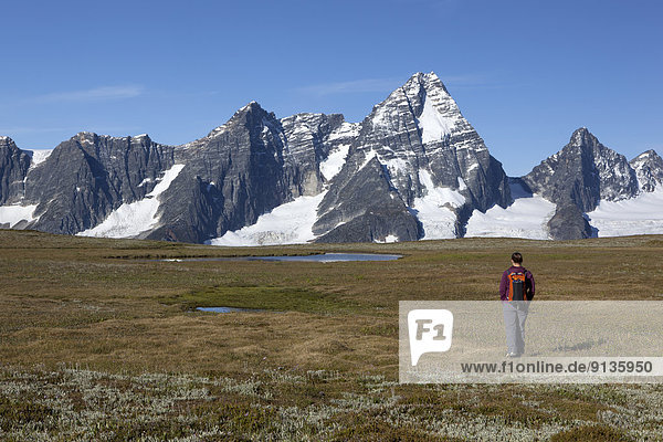 Hiker explores meadows in the Bald Mountain Range  Glacier National Park  British Columbia  Canada