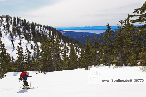 A skier ascends the trail to Mt. Steele cabin in Tetrahedron Provincial Park on the Sunshine Coast of British Columbia Canada. No Model Release