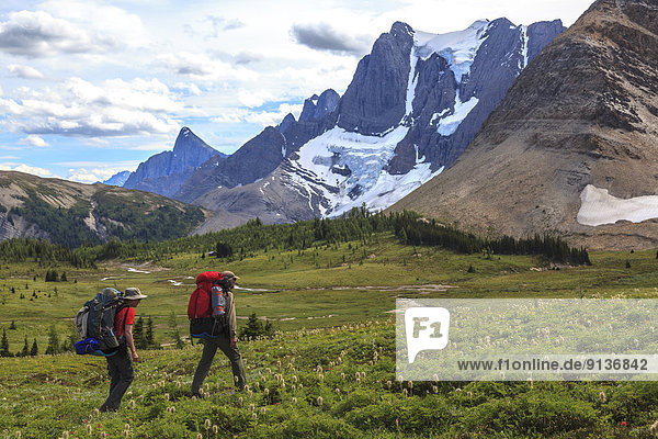 Two backpackers approach Wolverine Pass with the Rockwall and Tumbling Glacier beyond  Kootenay National Park  British Columbia  Canada. Model Released.