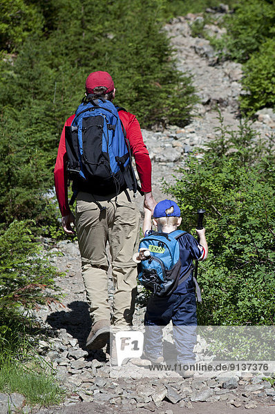 Father and Son Hiking up the trail to Dinky Peak  Mount Seymour Provincial Park  British Columbia  Canada