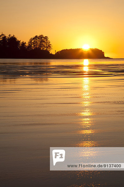 nahe  Strand  Sonnenuntergang  Insel  Geräusch  UNESCO-Welterbe  Tofino  British Columbia  British Columbia  Kanada  Vancouver