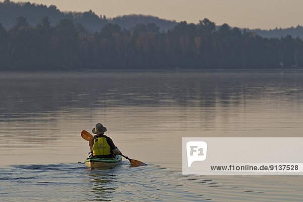 Elderly man enjoys early morning paddle in kayak on Oxtongue Lake  Muskoka  Ontario  Canada.