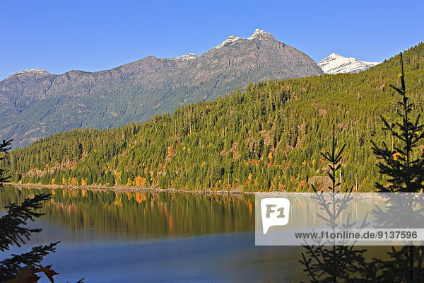 Strathcona-Westmin Provincial Park  Buttle Lake  Vancouver Island  British Columbia  Canada.