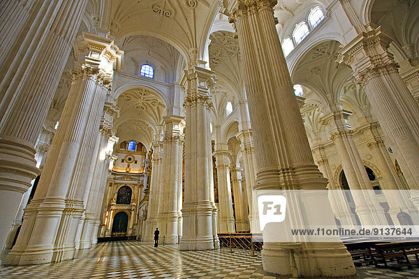 Columns and ceiling of the Granada Cathedral  City of Granada  Province of Granada  Andalusia (Andalucia)  Spain  Europe.