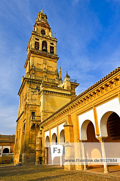 Glockenturm  Europa  Kathedrale  Veranda  UNESCO-Welterbe  La Mezquita  Moschee  Spanien