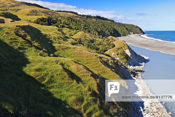 Ostküste neuseeländische Südinsel Neuseeland