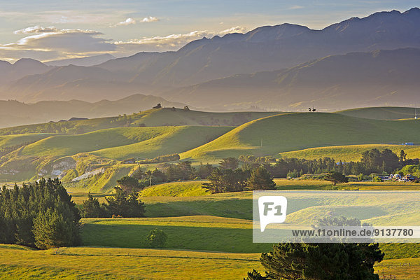 Ostküste  Ländliches Motiv  ländliche Motive  grün  Fernverkehrsstraße  neuseeländische Südinsel  vorwärts  zeigen  Kaikoura  Aussichtspunkt  Neuseeland  Halbinsel